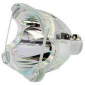 Philips PHI312 Lamp-Projection; Bulb Onl